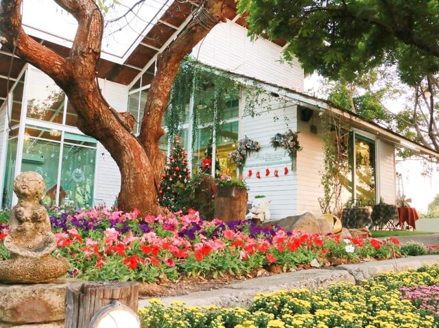 คาเฟ่สวนดอกไม้ Cakery 