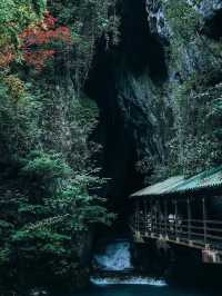 【山口】日本三大カルストの1つ！山口の絶景スポット