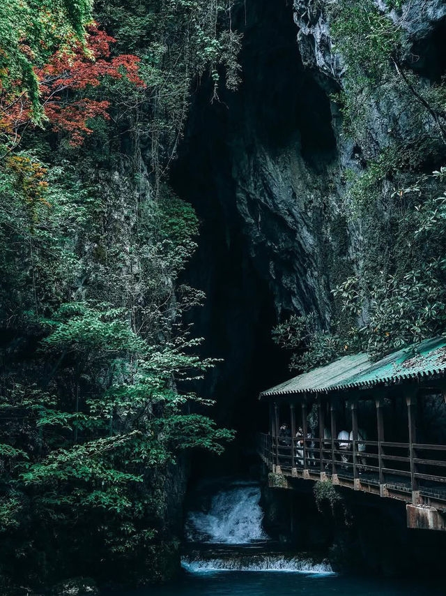 【山口】日本三大カルストの1つ！山口の絶景スポット