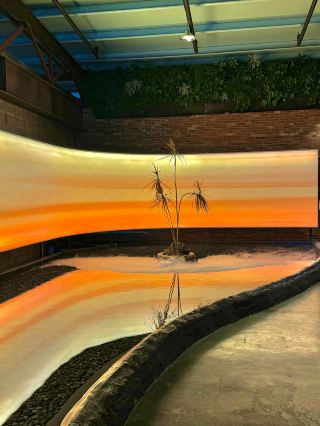 Paju Sunset Life Shot Cafe