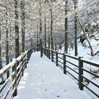 ภูเขาหิมะเจี่ยวจือ [Jiaozi snow mountain]