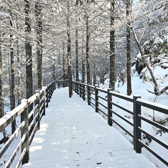 ภูเขาหิมะเจี่ยวจือ [Jiaozi snow mountain]