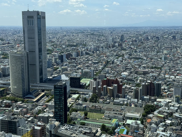 東京的免費美景：東京都廳的展望台 🌟