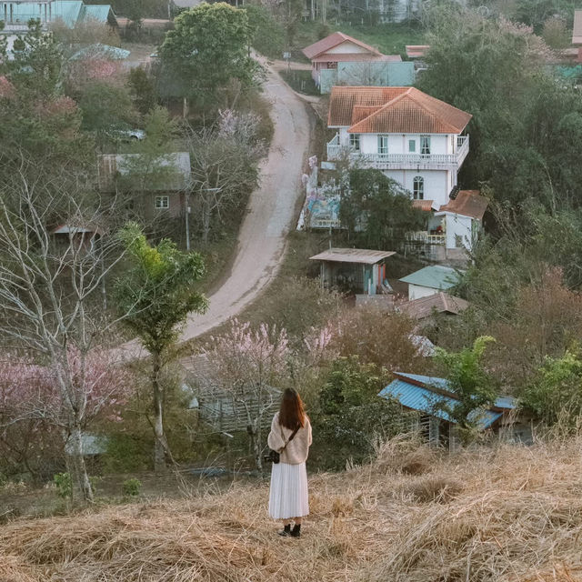 หนึ่งในหมู่บ้านที่ชอบที่สุด 'บ้านร่องกล้า'  🌸🌳