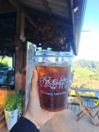 Specialty Coffee @ปางขอน