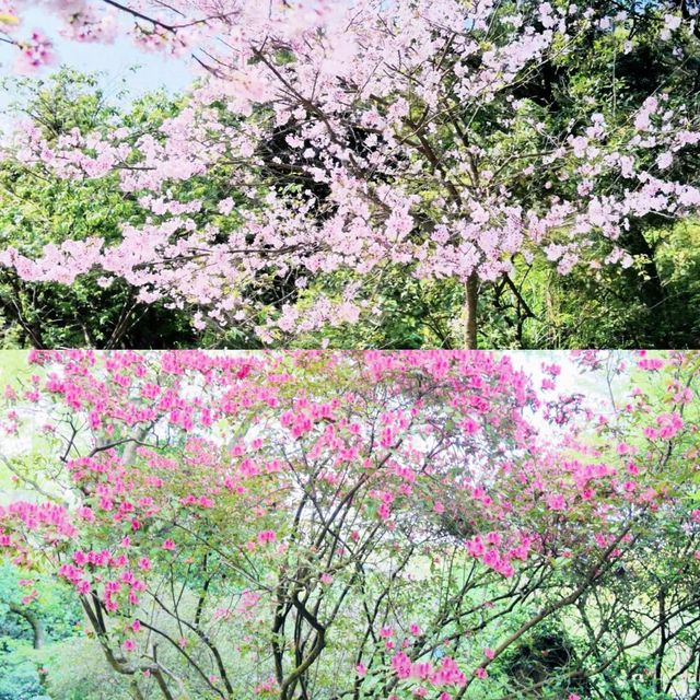 台北景點