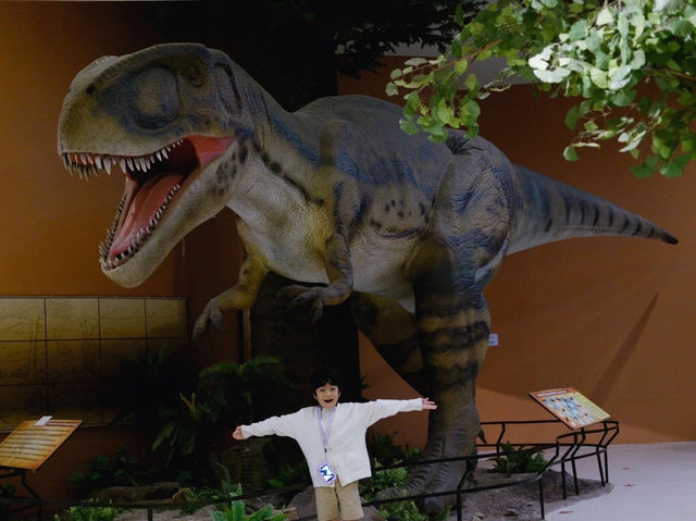 พิพิธภัณฑ์ไม้กลายเป็นหิน 🏛️🦕 