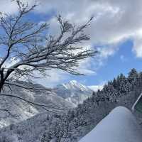 Bluebird Powder day in Cortina, Hakuba, Japan ! 