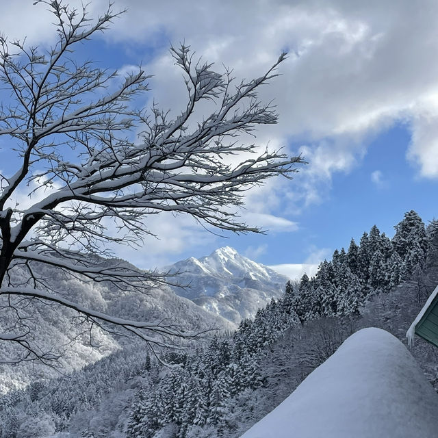 Bluebird Powder day in Cortina, Hakuba, Japan ! 