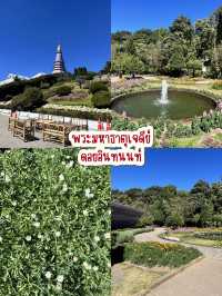 One day trip “ดอยอินทนนท์”✨