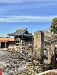 ⛩️ 妙蓮寺（横浜） – 歴史と四季を感じる寺院