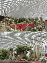 The Nature Enthusiast’s Perspective: A Green Paradise at Garden by the Bay