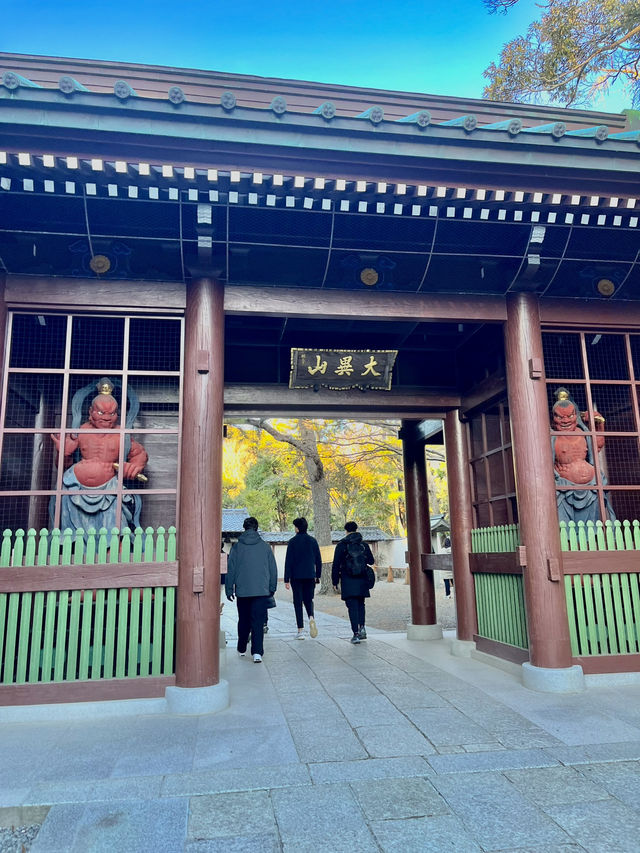 🏯 鎌倉大仏（高徳院）攻略ガイド – 見どころ＆ベストな楽しみ方