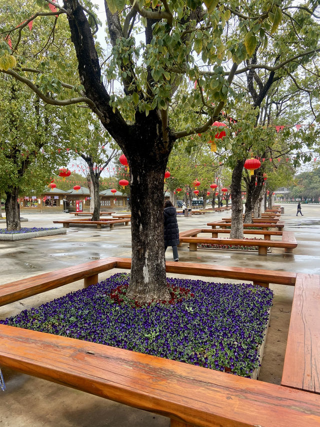 🏞️☺️石林生態公園｜雲林昆明好去處🥾