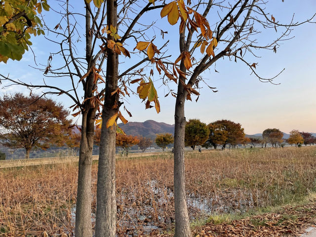 한국관광 100선 두 물길이 만나는 두물머리 🧡