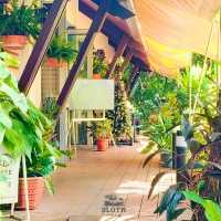 🌳 Light Minute Home Cafe