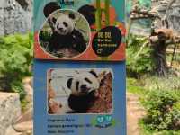 很趣緻的熊貓🐼🐼館