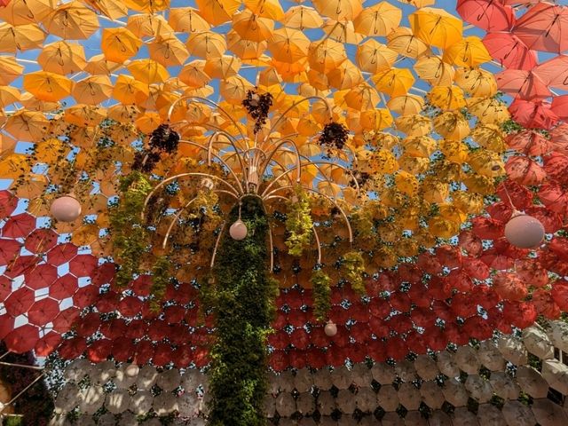 花を使った大スケールの作品に写真撮影が止まらない「ドバイ奇跡の庭園」