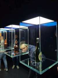 유럽여행 암스테르담에서 인기있는 맥주 박물관 Heineken Experience