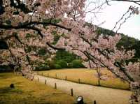 栗林公園-日本回遊式庭園代表，四國賞櫻好去處