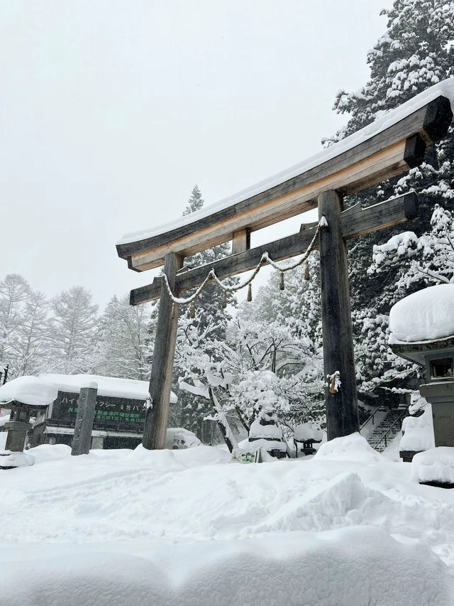 [長野]冬の戸隠神社に行ったらやるべき3つのこと❄️
