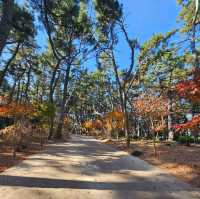 【釜山】這裡擁有多條海岸步道，能夠欣賞南海的壯闊景色。