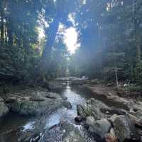 Warrie Circuit Hike: A Waterfall Wonderland