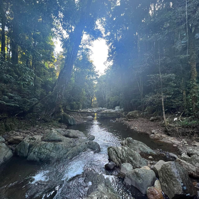 Warrie Circuit Hike: A Waterfall Wonderland