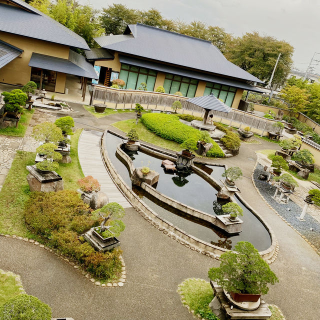 🌳都会の気軽に行ける盆栽庭⛲️