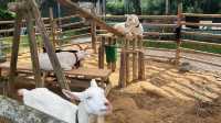 可愛的動物園，必坐小火車