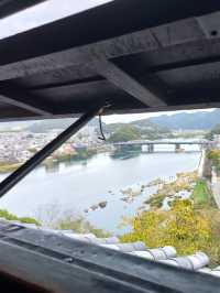 Day tour Nagoya - Inuyama castle 🏯