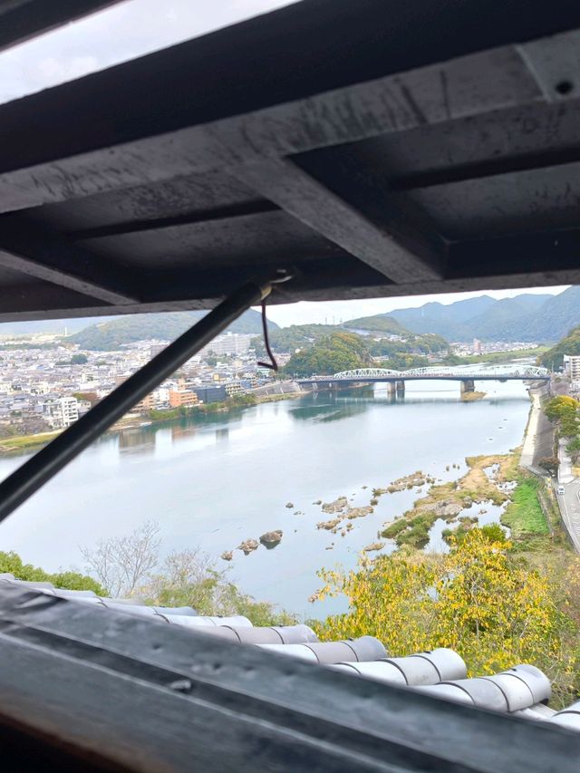Day tour Nagoya - Inuyama castle 🏯
