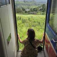 これが世界一美しい鉄道！スリランカ紅茶列車に乗ってみた🇱🇰