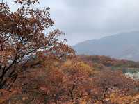 Pofeng Ridge 坡峰岭 is a Hidden Gem for Hikers 🌿🏞️