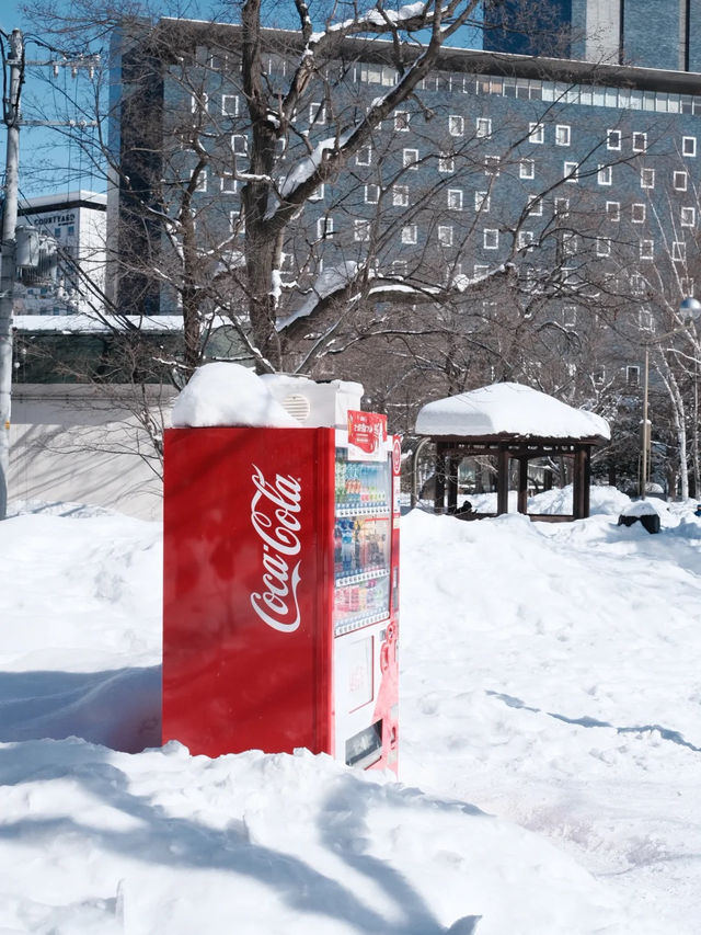 北海道札幌｜冬日散步聖地—中島公園 ❄️🏞️