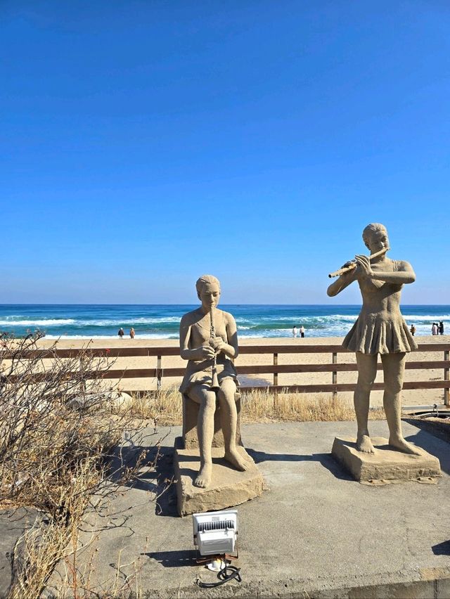 겨울바다의 매력이 더해지는 양양해변🩵