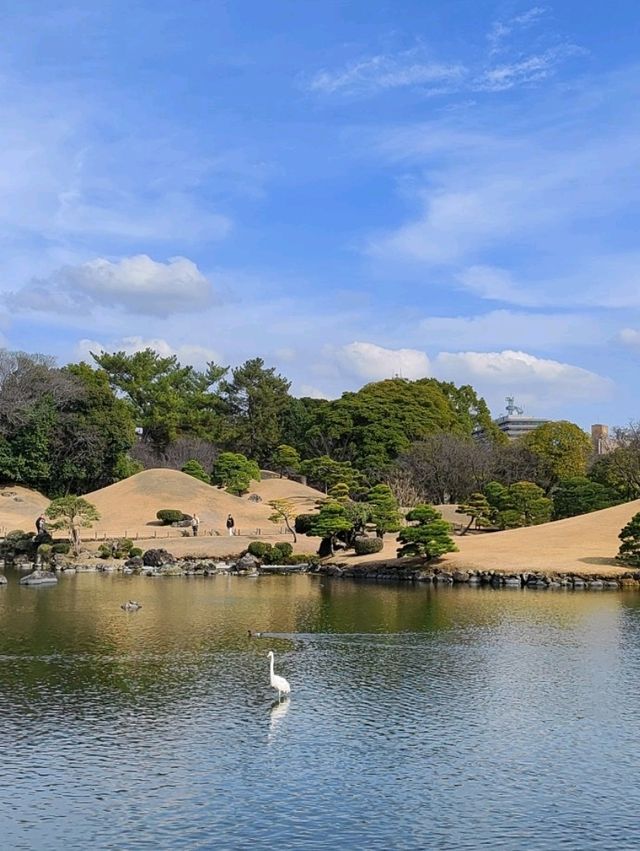 精緻巧妙造景的水前寺成趣園