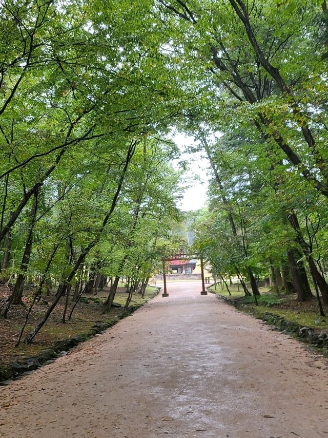 남양주 광릉