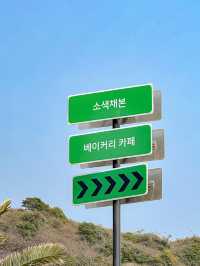 유채꽃 피는 시즌 가장 예쁜 제주 카페