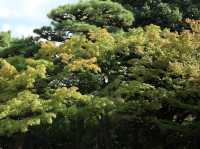 A Glimpse into Japan’s Timeless Elegance: Byodo-In Temple