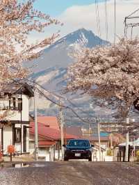 Kannonji River ซากุระริมน้ำสุดโรแมนติกแห่งฟุคุชิมะ