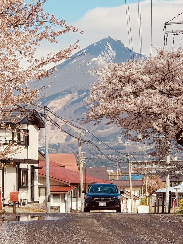 Kannonji River ซากุระริมน้ำสุดโรแมนติกแห่งฟุคุชิมะ