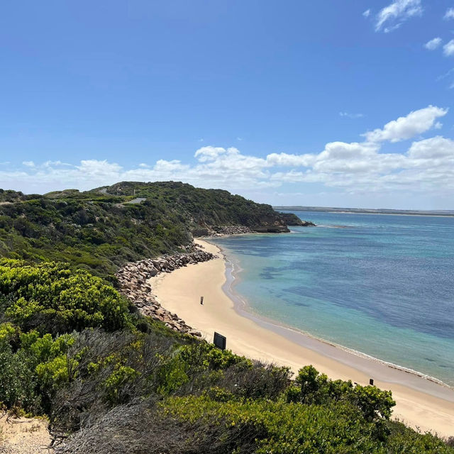 Nature and History Combined: Exploring Point Nepean National Park