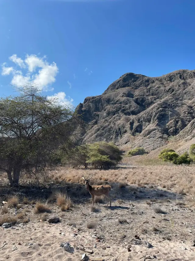 captivating destination that offers a perfect blend of adventure