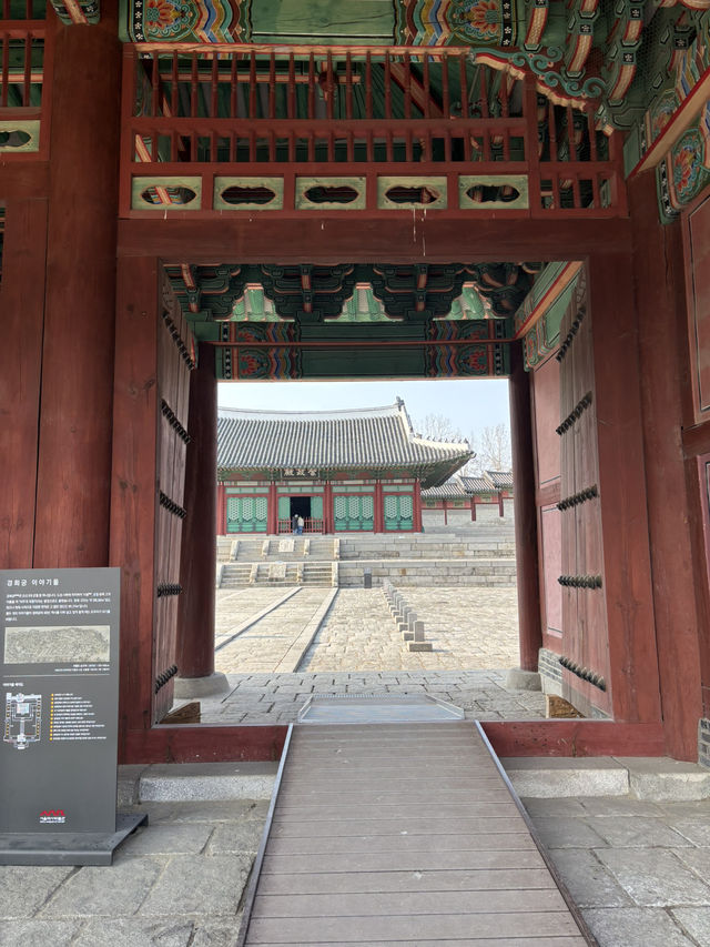 조선왕실 구경하는 서울 경희궁 나들이😍