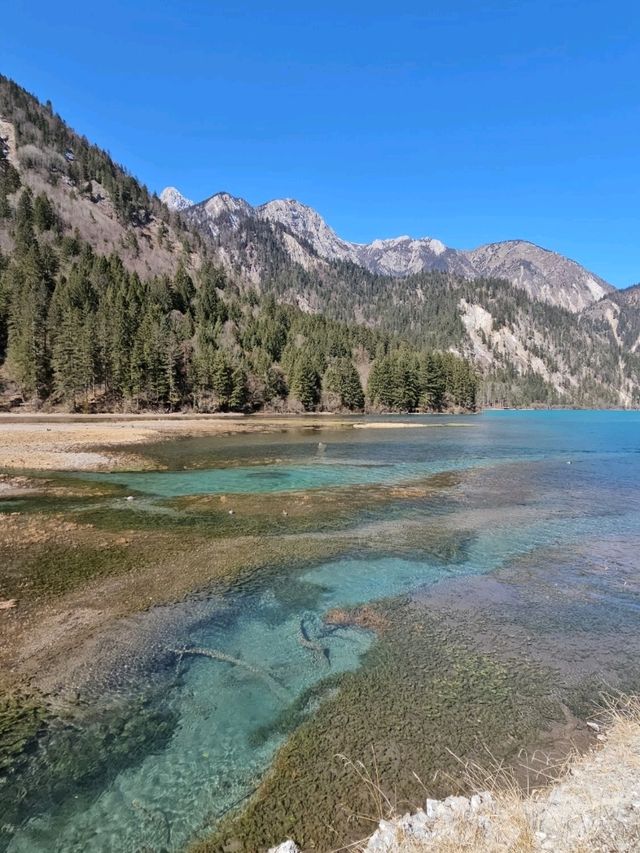 🌲🌳จิ่วจ้ายโกว (Jiuzhaigou สวรรค์แห่งเสฉวน)