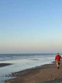 The Hague: A City of Royal Charm, History, and Modern Elegance