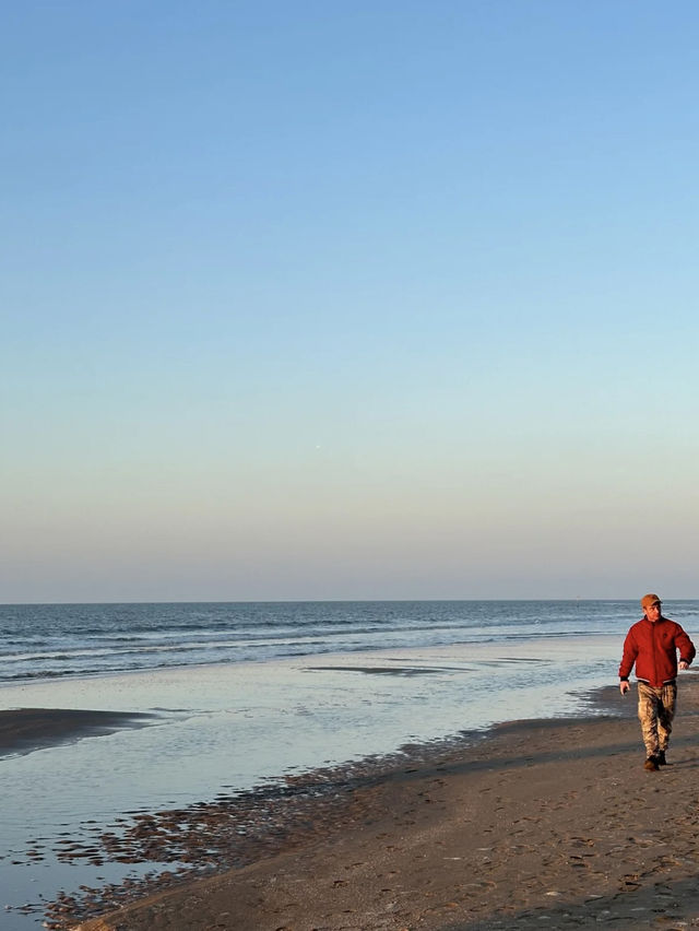 The Hague: A City of Royal Charm, History, and Modern Elegance