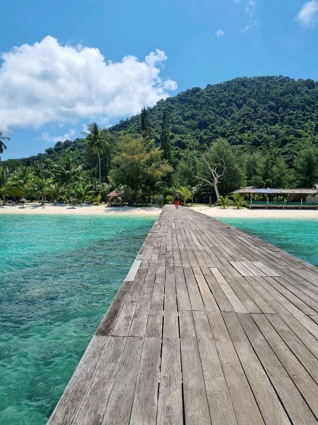 Perfect peaceful getaway or a retreat with nature.