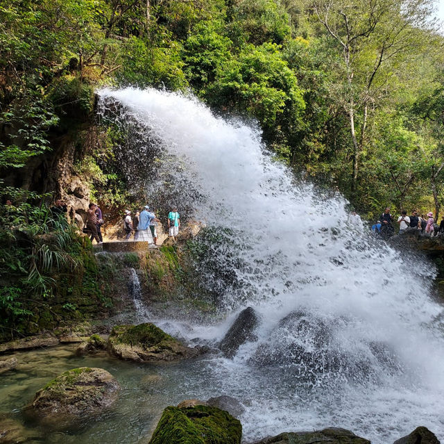 Visiting Xihu in Spring